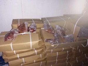 Çin’den getirilen kaçak 23 ton kuzu ciğeri yakalandı