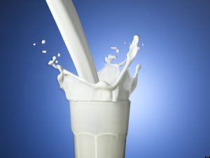 Toplanan süt miktarı Ekim’de azaldı
