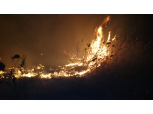 İznik Gölü kıyısında sazlık yangını
