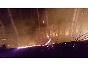 Ordu’daki orman yangınlarına müdahale sürüyor