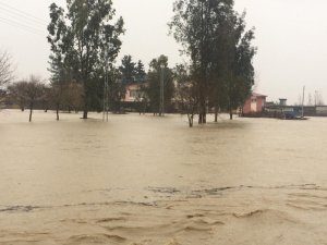 Ceyhan’da bazı köyler ekili alanlar sular altında