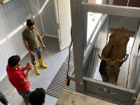 Diyadin’de hayvan kesim mezbahanesi açıldı