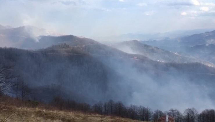 Trabzon’daki örtü yangınları devam ediyor