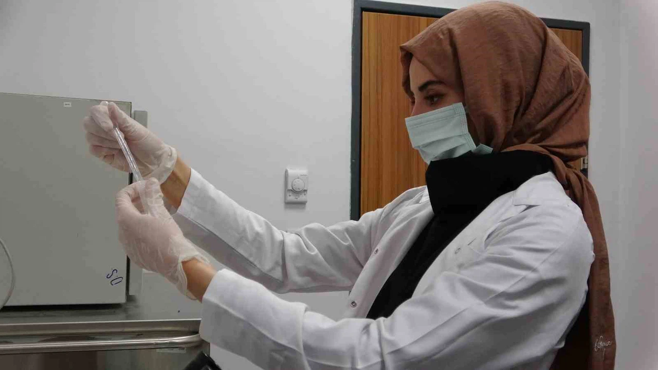 Van’daki “Tüp Bebek Merkezi” çiftlere umut oldu