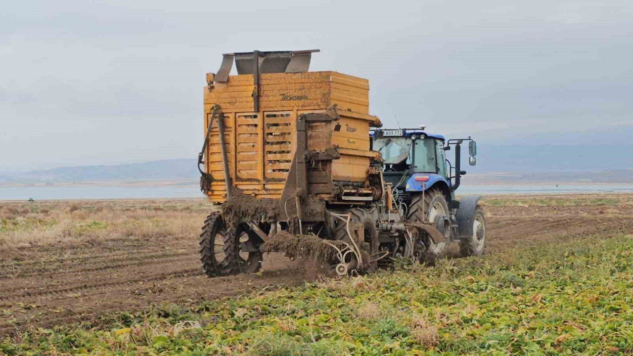 Adilcevaz'da Şeker Pancarı Hasadı Yoğun Tempoda Devam Ediyor