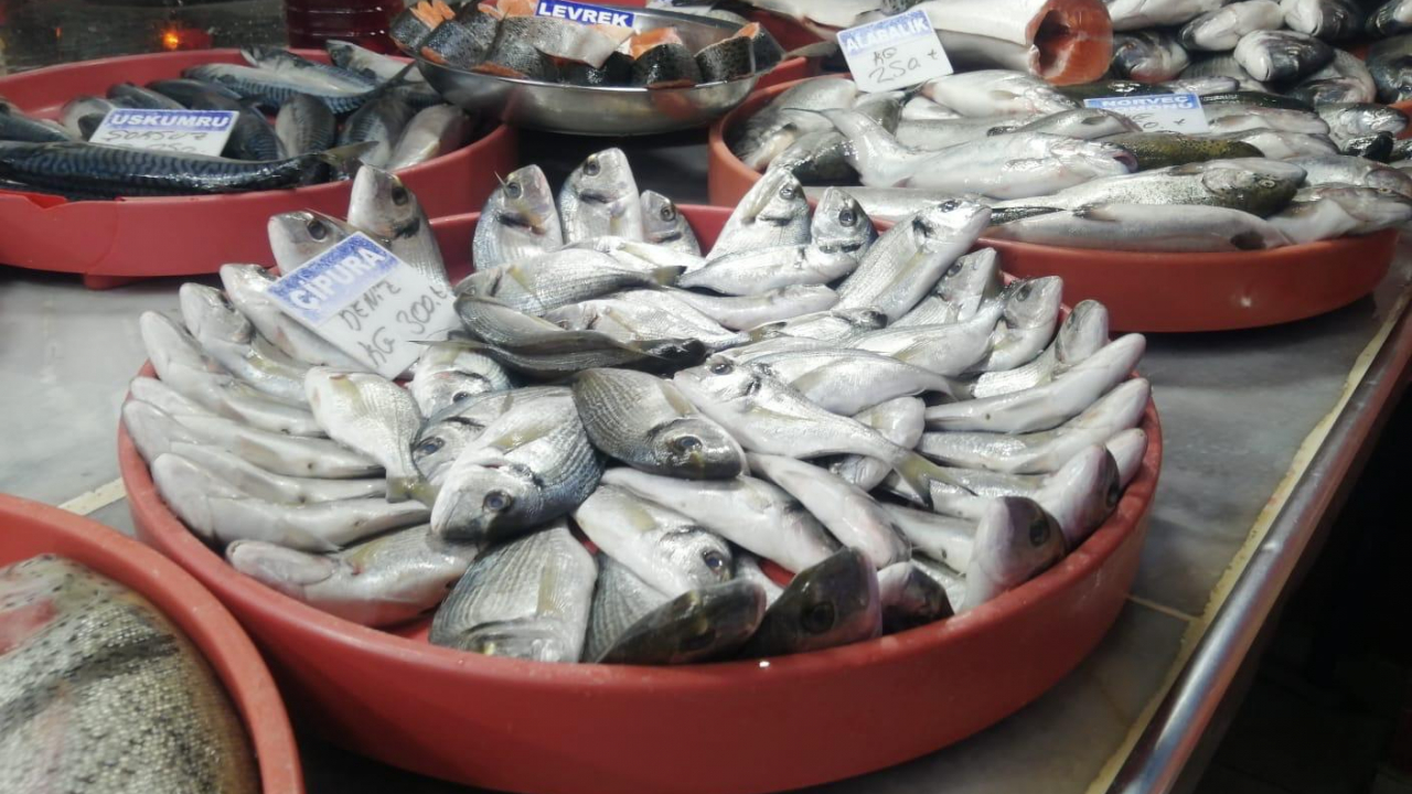 Ağrı'da balıkçılık sektörü kış aylarında canlanıyor