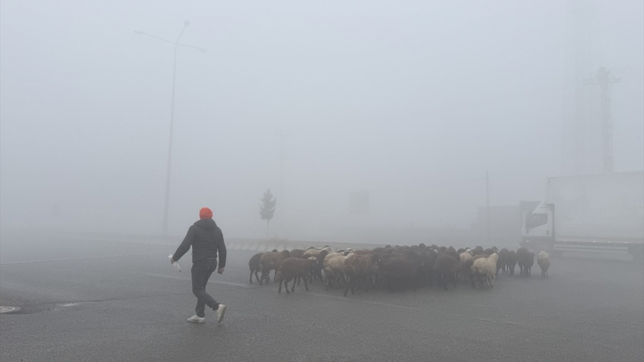 Ağrı–Iğdır karayolunu yoğun sis kapladı