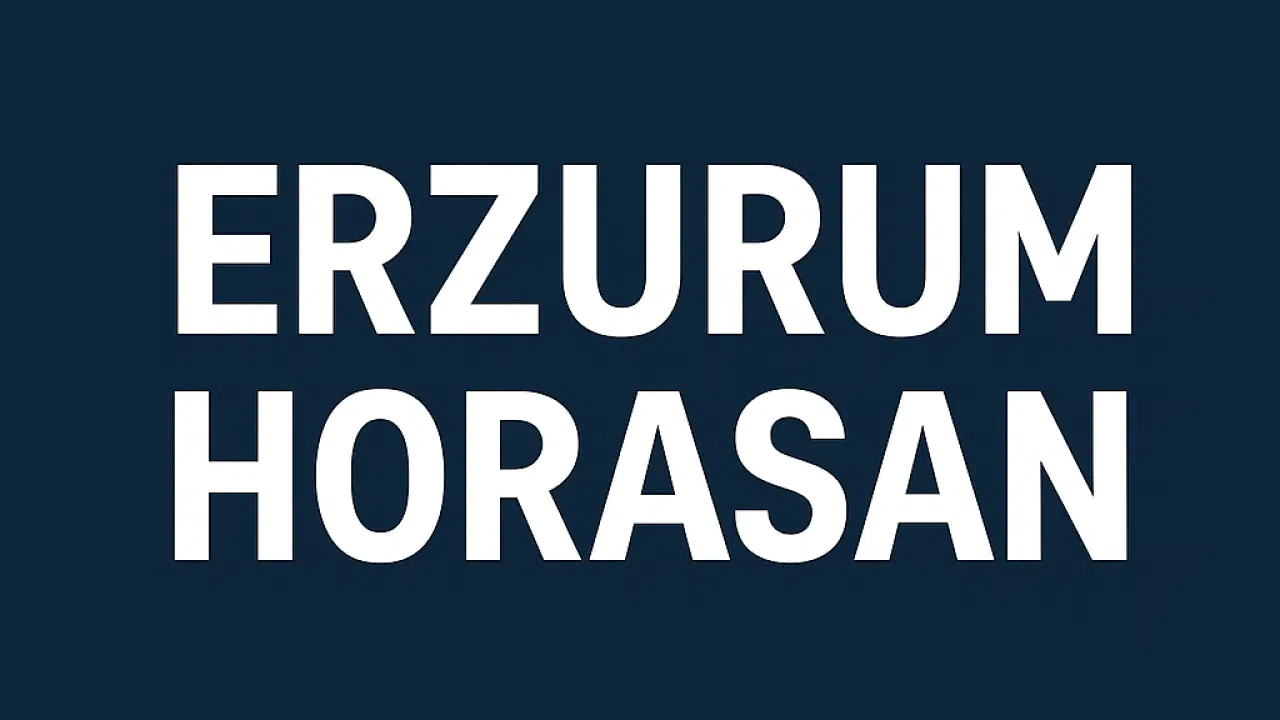 Horasan Nüfusu – Erzurum’un Doğu Kapısında Demografik Dönüşüm ve Mahalle Profili