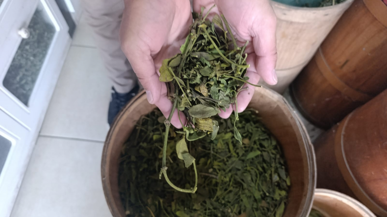 Kanser vakalarının yüksek olduğu Ağrı’da doğal ürünlere yönelim arttı