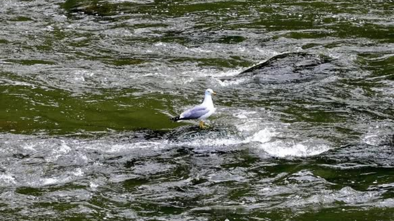 Kars’ın Saklı Güzelliği: Akyaka Kanyonu Doğa Tutkunlarını Bekliyor