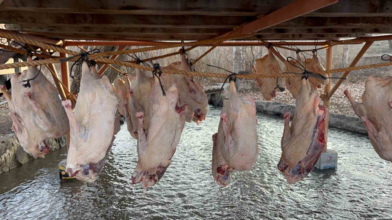 Kars'ta geleneksel kurutma yöntemi ile kazlar sofralara hazırlanıyor