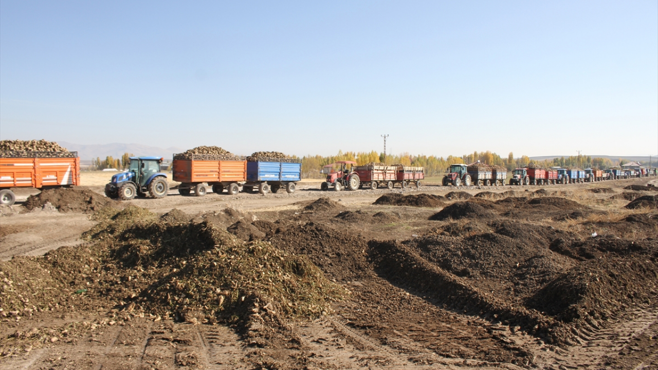 Muş’ta pancar üreticilerine Ağrı’dan destek