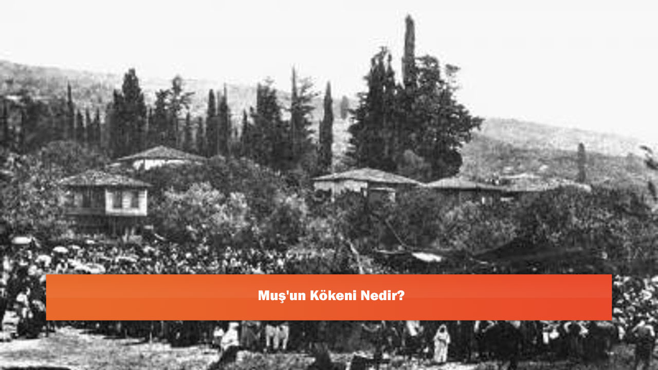Muş'un Kökeni Nedir?