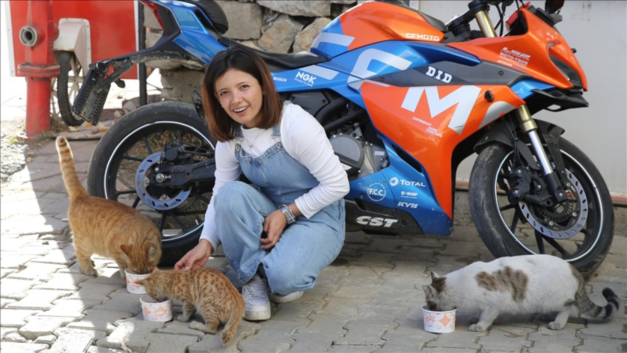 Öğretmen, İlçe Merkezinde Sahipsiz Kedilere Destek Veriyor ve Hayvanseverleri Etkinliklerine Çağırıyor