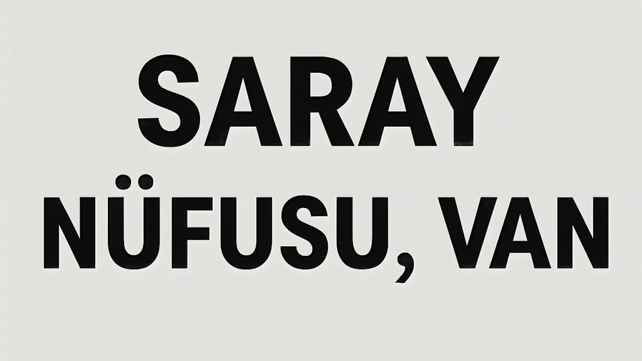 Saray İlçesi Nüfusu Van  ve Mahalle Bazlı Demografik Yapı