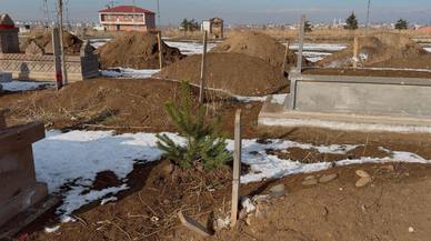 Ağrı Şehir Mezarlığı'nda her mezar başına bir çam ağacı