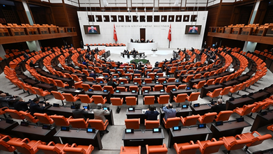 Meclis çocuk suçluluğu için düğmeye bastı