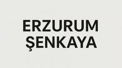 Şenkaya Nüfusu – Erzurum Kuzey Kapısında Nüfus Dağılımı ve Sosyal Yapı