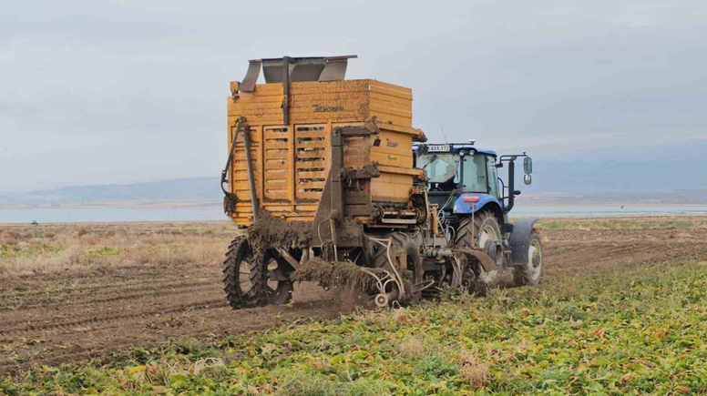 Adilcevaz'da Şeker Pancarı Hasadı Yoğun Tempoda Devam Ediyor