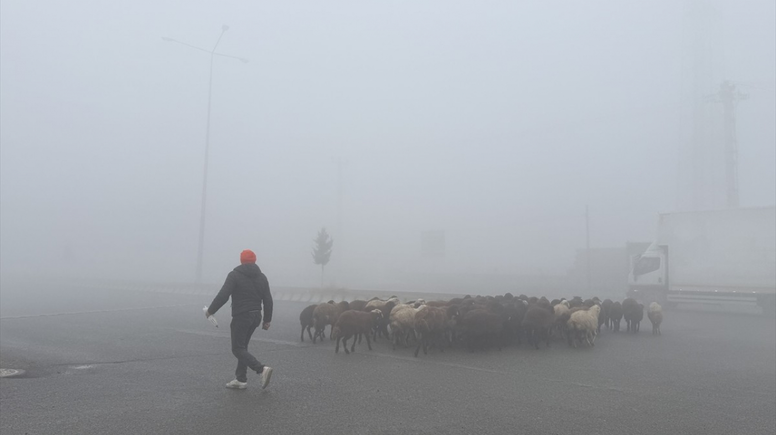 Ağrı–Iğdır karayolunu yoğun sis kapladı