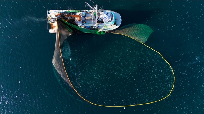 Balıkçılık sektörünü neler bekliyor? Yönetmelik değişti