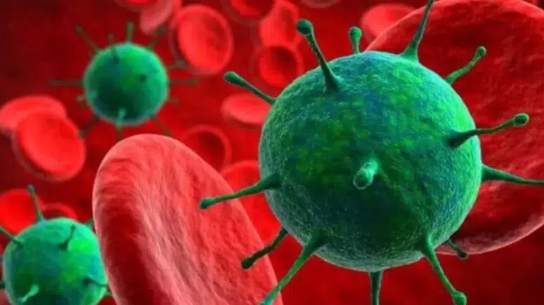 H3N2 virüsünden nasıl korunulur? H3N2 virüsü Türkiye'de var mı? H3N2 virüsü nedir, belirtileri nelerdir?