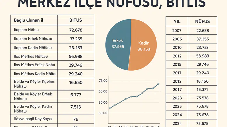MERKEZ İLÇE NÜFUSU, BİTLİS