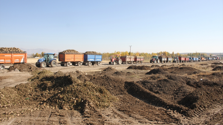 Muş’ta pancar üreticilerine Ağrı’dan destek
