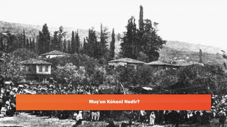Muş'un Kökeni Nedir?