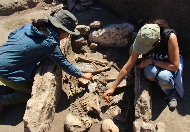 Kazı çalışmasında 5 bin yıllık insan iskeletleri çıktı