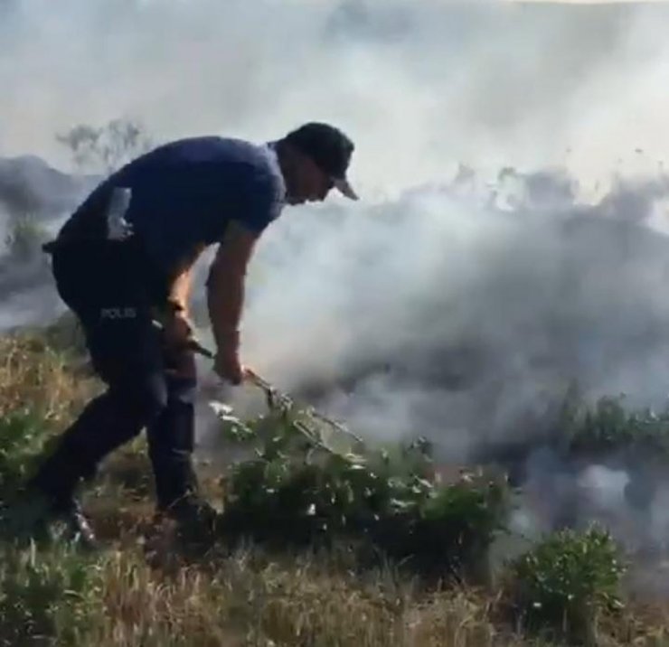 Kahraman polis orman yangınını engelledi