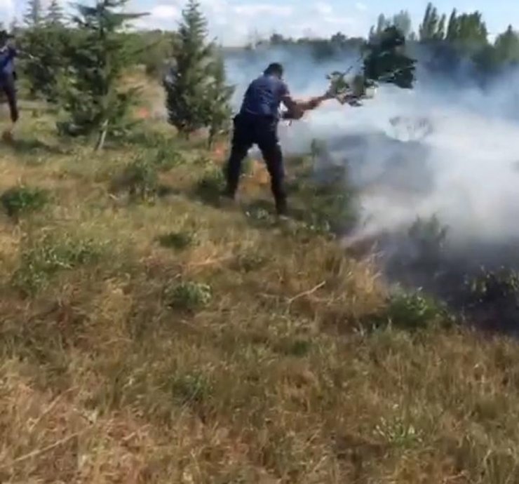 Kahraman polis orman yangınını engelledi