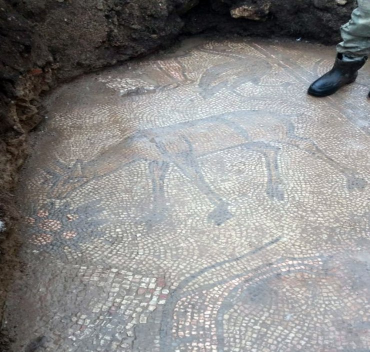 Mardin’de 1500 yıllık mozaik, kaçak kazıda ortaya çıktı