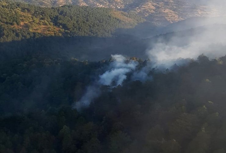 20 hektar ormanlık alan yandı