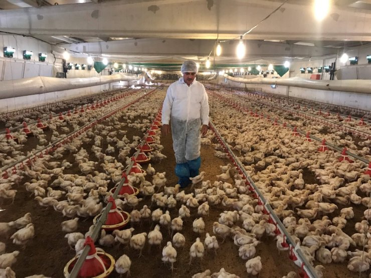 Beyaz et sektörü Japonya ve Çin’den sonra gözünü AB pazarına dikti