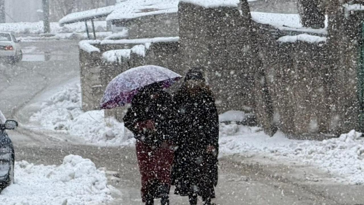 Van ve Bitlis'te kar yağışı etkili oldu 8