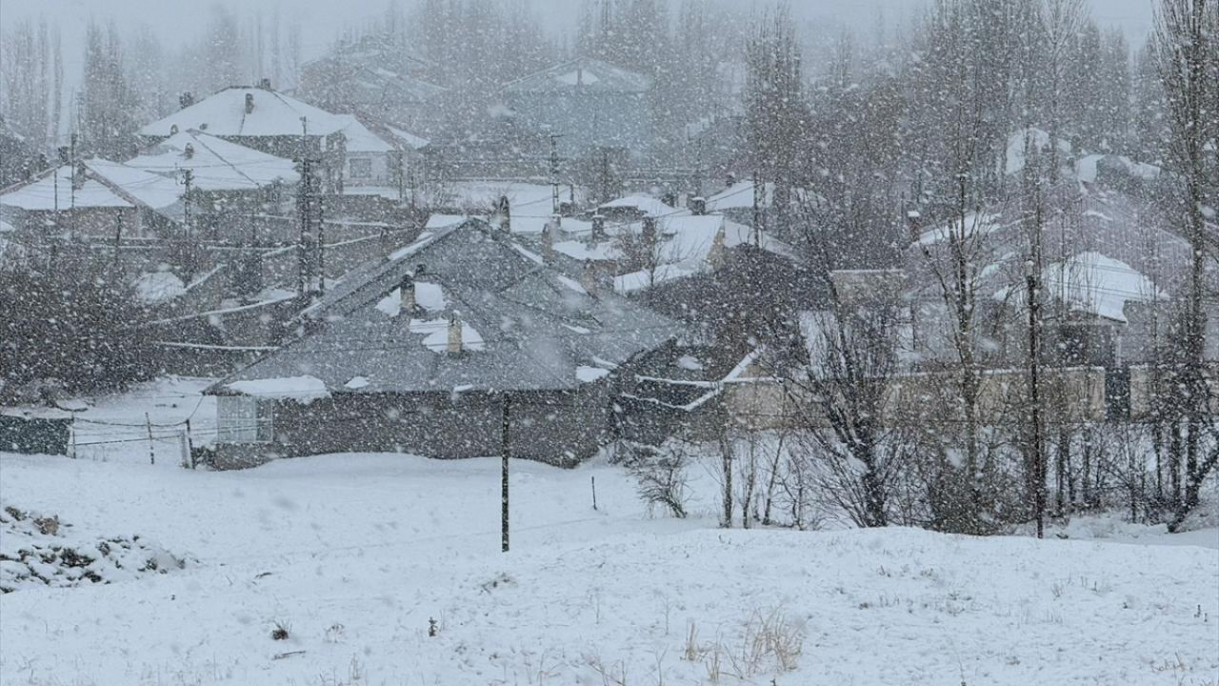Van ve Bitlis'te kar yağışı etkili oldu 6