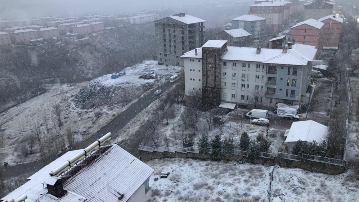 Van ve Bitlis'te kar yağışı etkili oldu 5