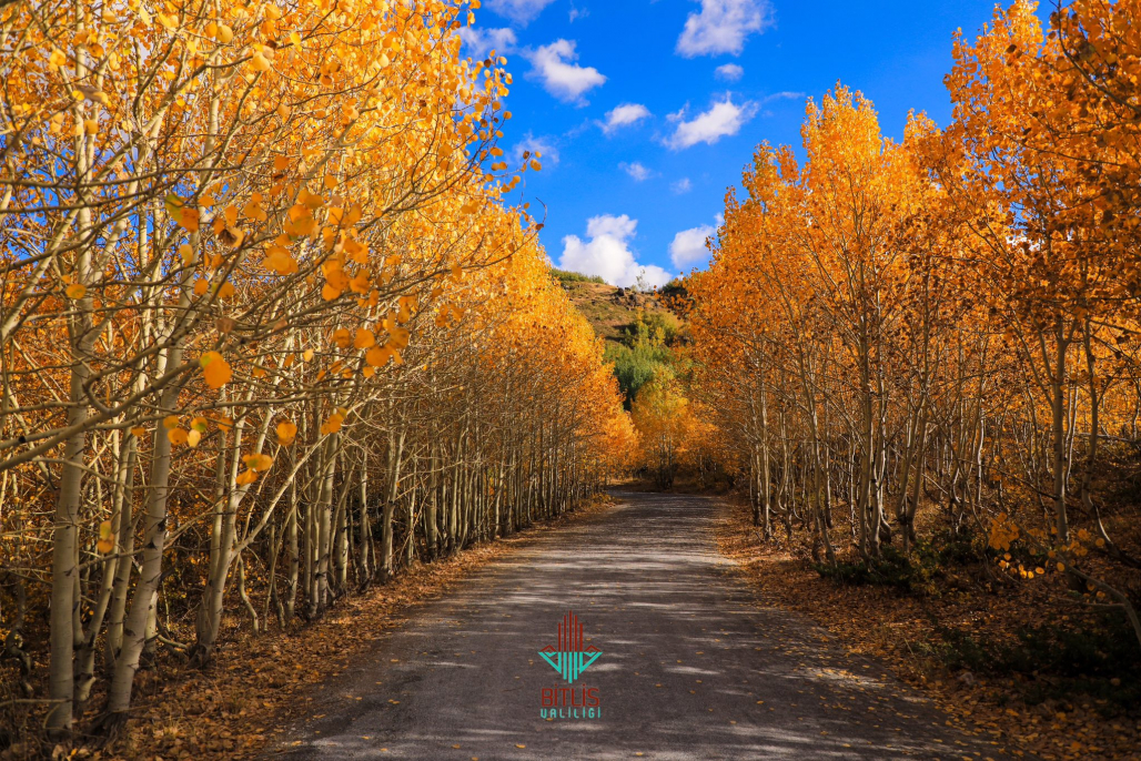 Bitlis’in Doğal Güzelliği: Nemrut Krater Gölü Sonbaharda Ziyaretçilerini Bekliyor 3