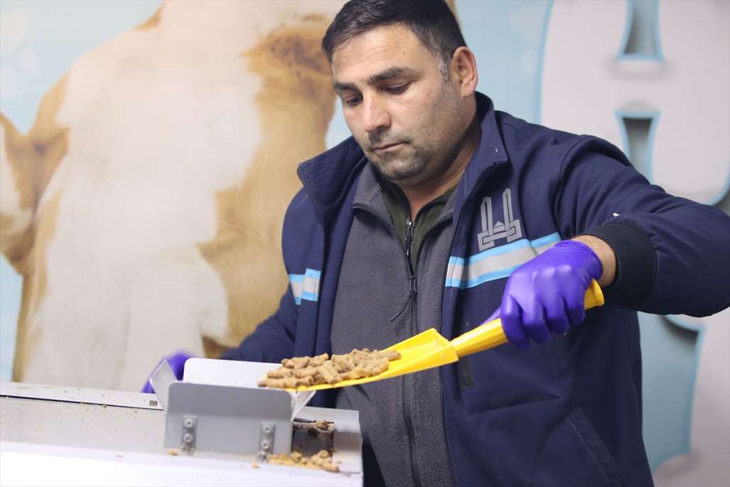 Erzurum’da hayvan dostu tesisle sokak hayvanları aç kalmıyor 1