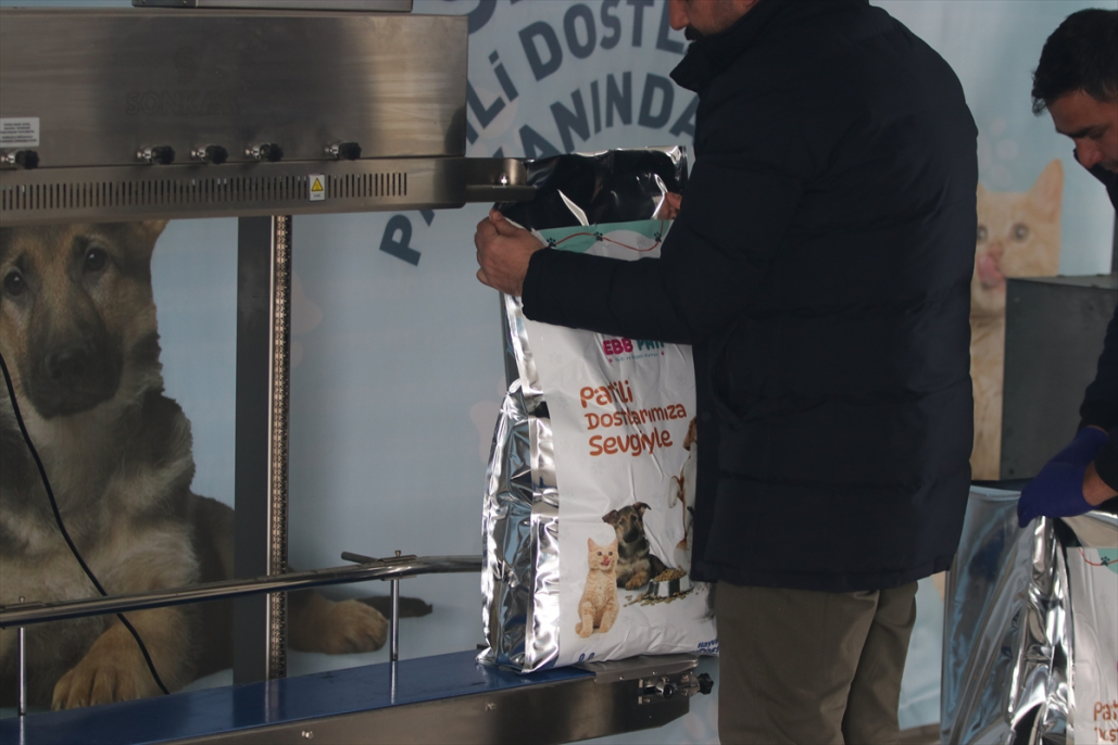 Erzurum’da hayvan dostu tesisle sokak hayvanları aç kalmıyor 4