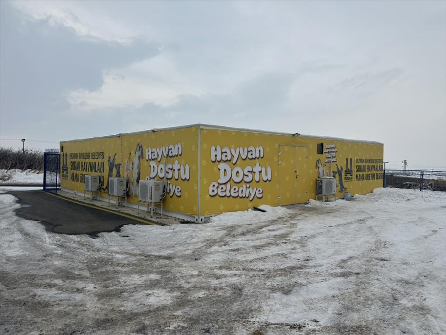 Erzurum’da hayvan dostu tesisle sokak hayvanları aç kalmıyor 3
