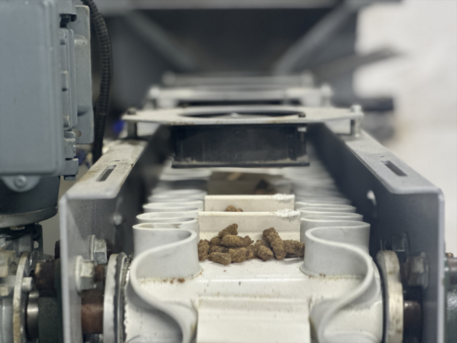 Erzurum’da hayvan dostu tesisle sokak hayvanları aç kalmıyor 2