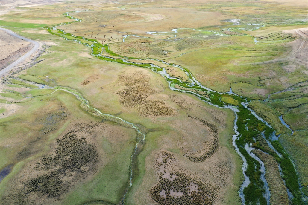 Ağrı ve Iğdır’ın ortak değeri: Aras Dağlarındaki sulak alan kuşlara yuva oldu 4