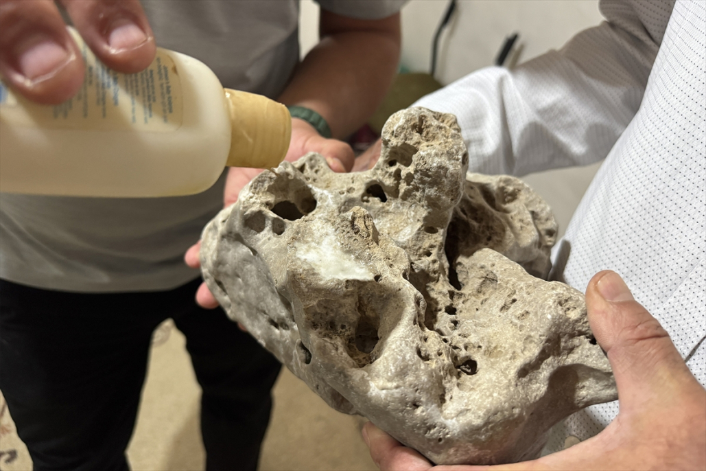 Ağrı ve çevresinde milyonlarca yıllık taşlar gün yüzüne çıkıyor 3