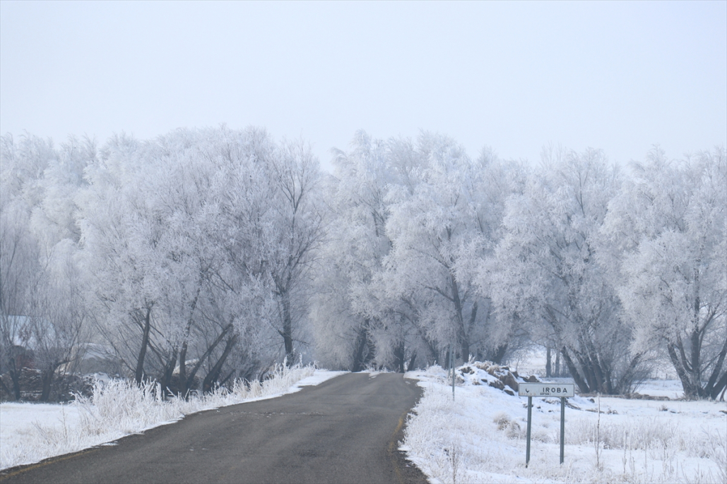 Ağrı’da soğuk hava ve sis kartpostallık görüntüler oluşturdu 2