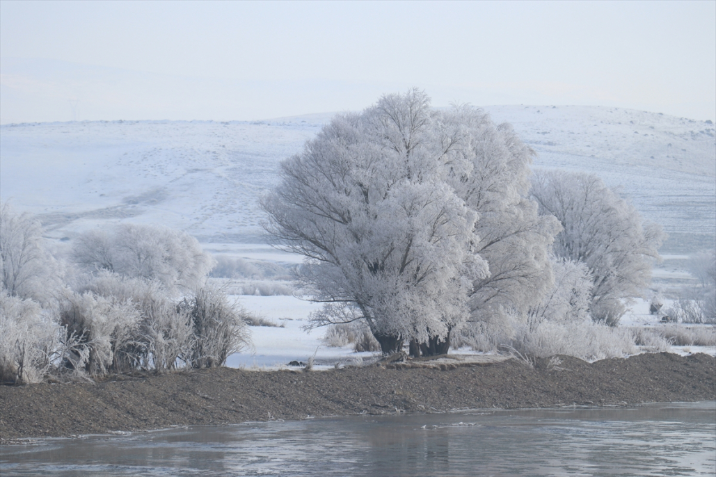 Ağrı’da soğuk hava ve sis kartpostallık görüntüler oluşturdu 3