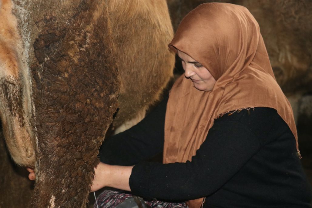 Aksaraylı gelinin azmi Ağrı’da örnek oldu 3