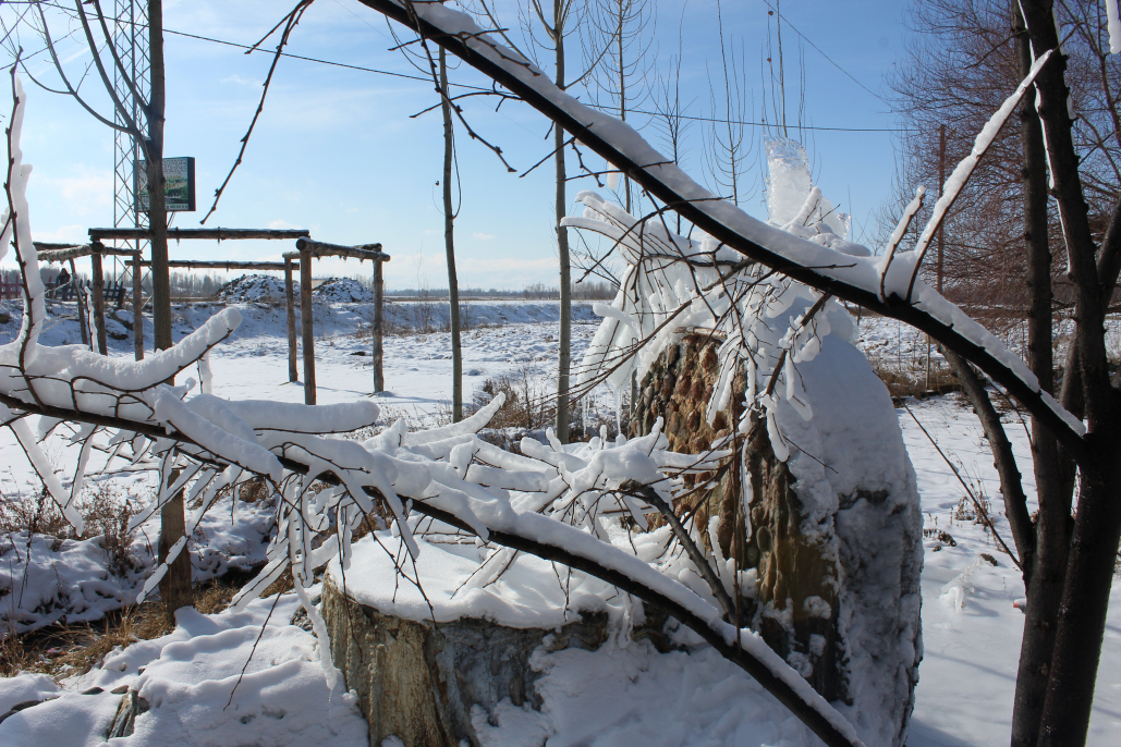 Ağrı'da zemheri günleri başladı, şehir buz tuttu 1