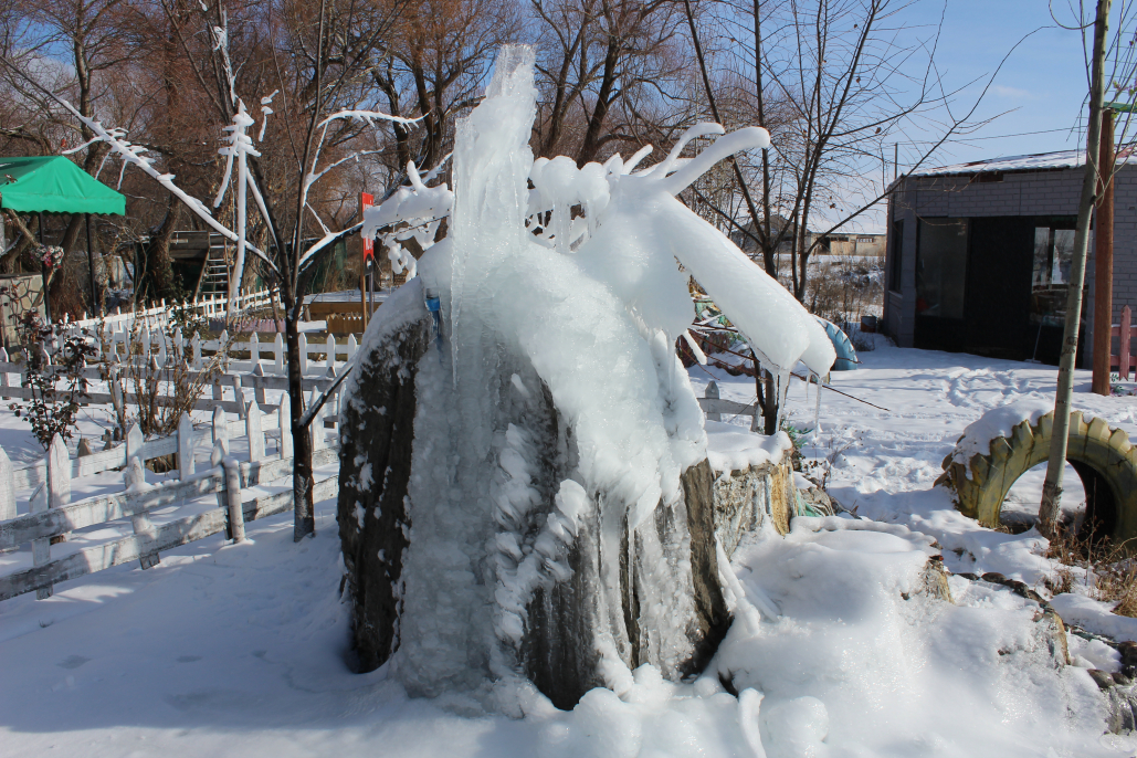 Ağrı'da zemheri günleri başladı, şehir buz tuttu 3